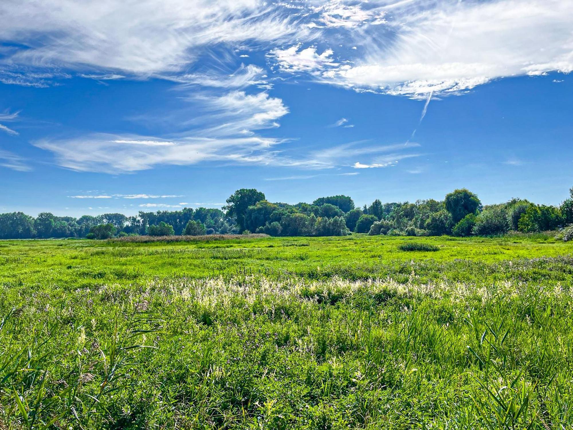 Haffblick Wohnung 20 Boltenhagen  Exteriér fotografie